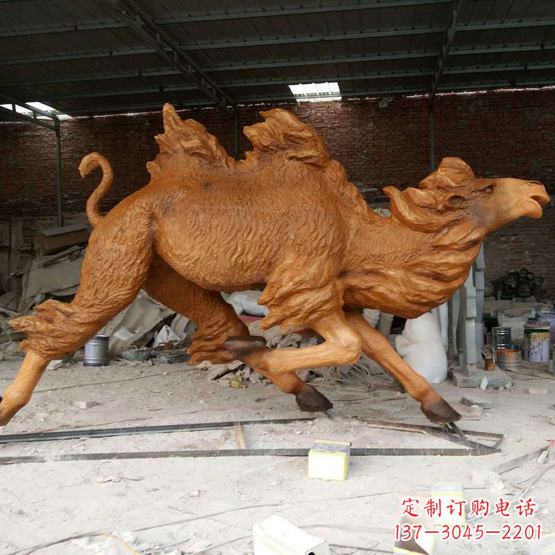 泉州活力四射的骆驼