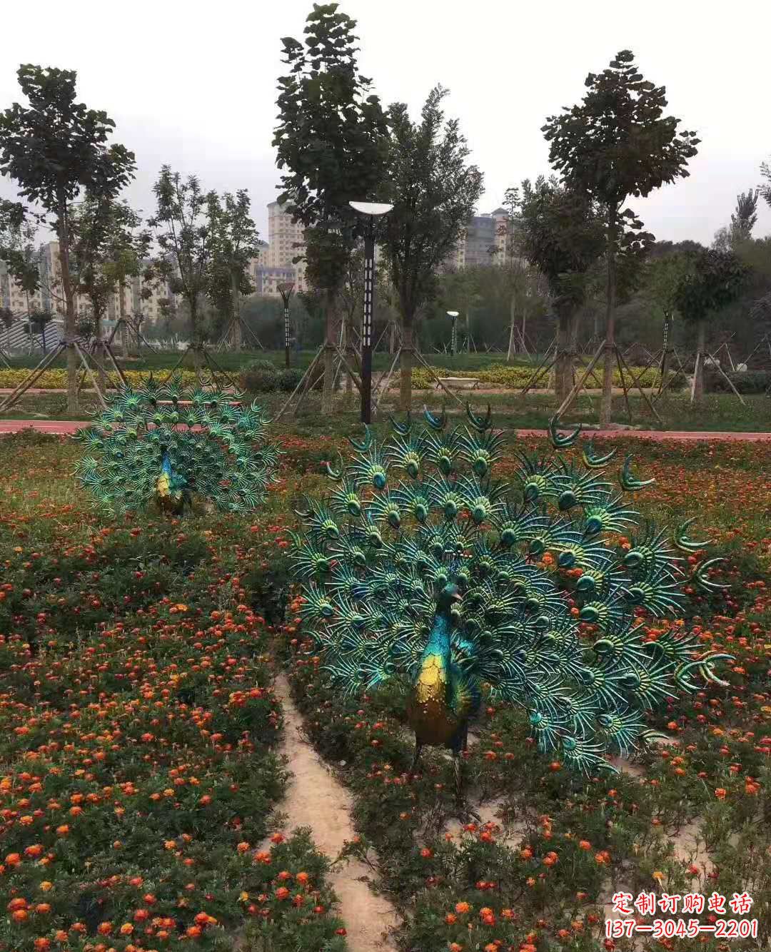 泉州不锈钢彩绘孔雀雕塑