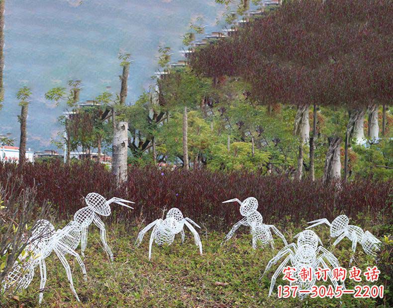 泉州不锈钢蚂蚁镂空雕塑艺术与自然的完美结合