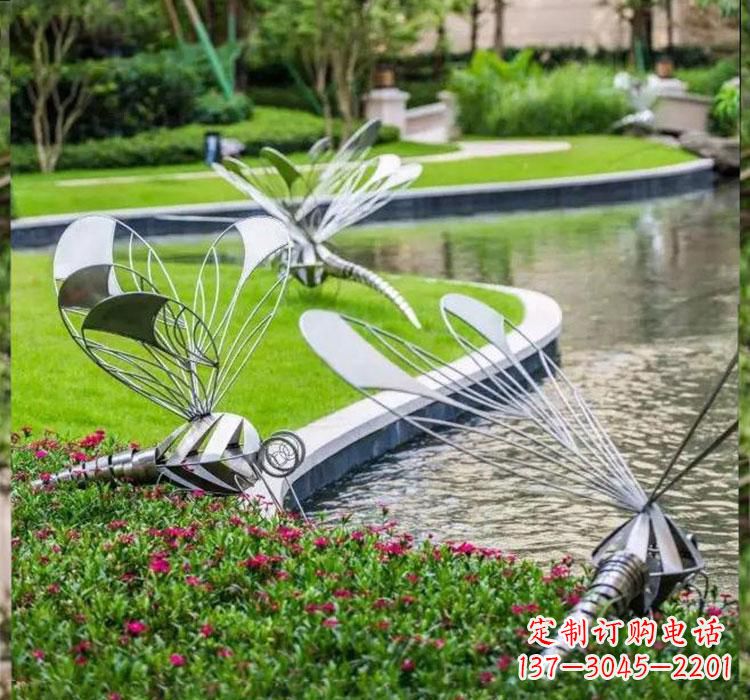 泉州不锈钢蜻蜓一件完美的动物雕塑