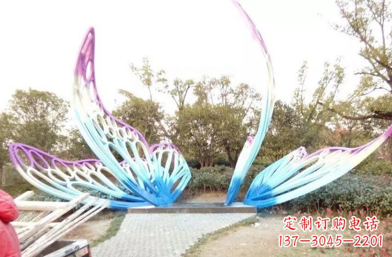 泉州彩色不锈钢蝴蝶