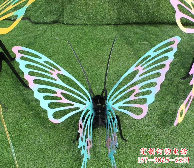 泉州彩色不锈钢镂空蝴蝶雕塑精美又充满生机