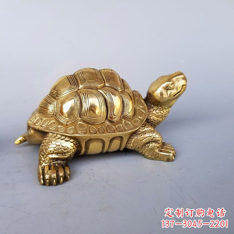 泉州静谧的纯铜乌龟雕塑