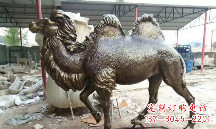 泉州铜雕骆驼,精致优雅