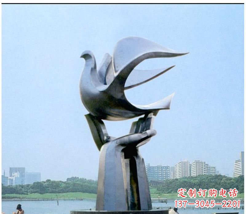 泉州静谧之鸽,传递和平象征~