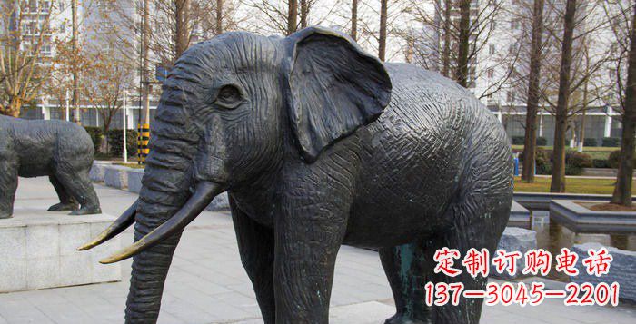 泉州公园大象动物雕塑