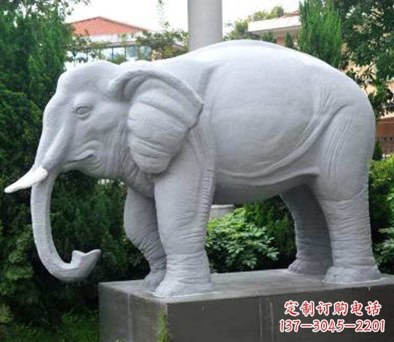 泉州公园动物大理石大象石雕 (5)
