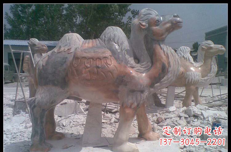 泉州公园动物骆驼石雕222