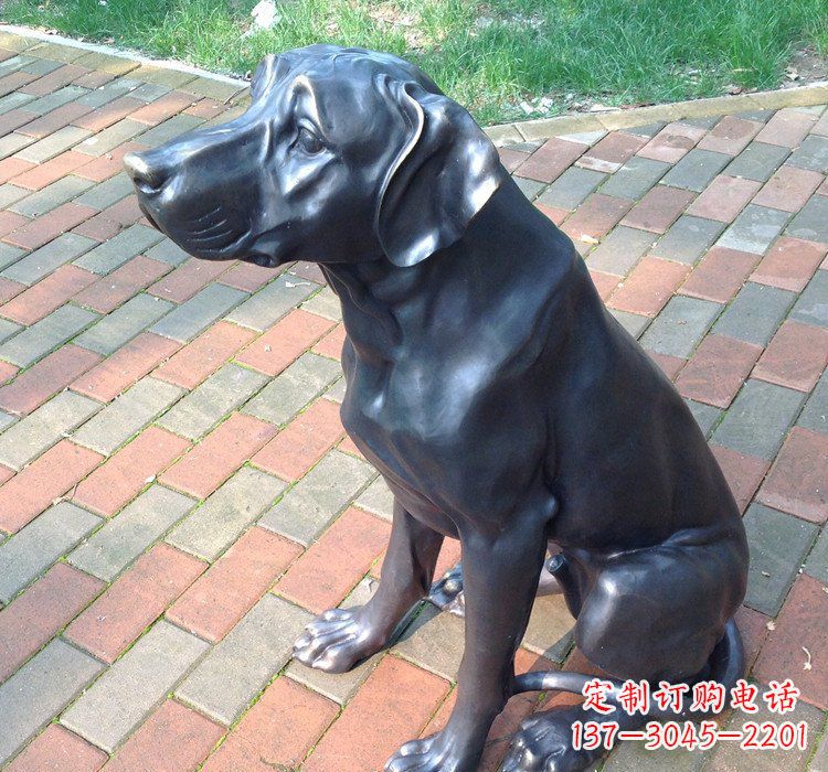 泉州公园动物铜雕狗
