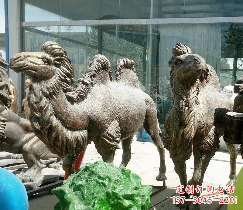 泉州公园骆驼动物铜雕 (2)