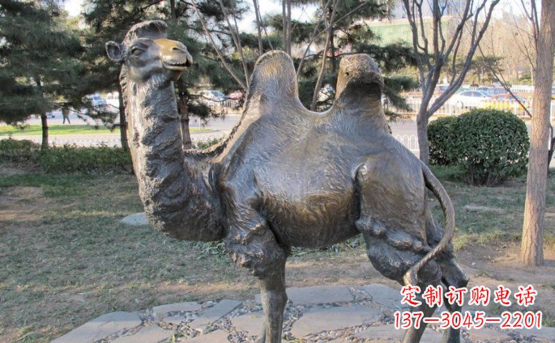 泉州铜骆驼雕塑——浓缩自然美丽