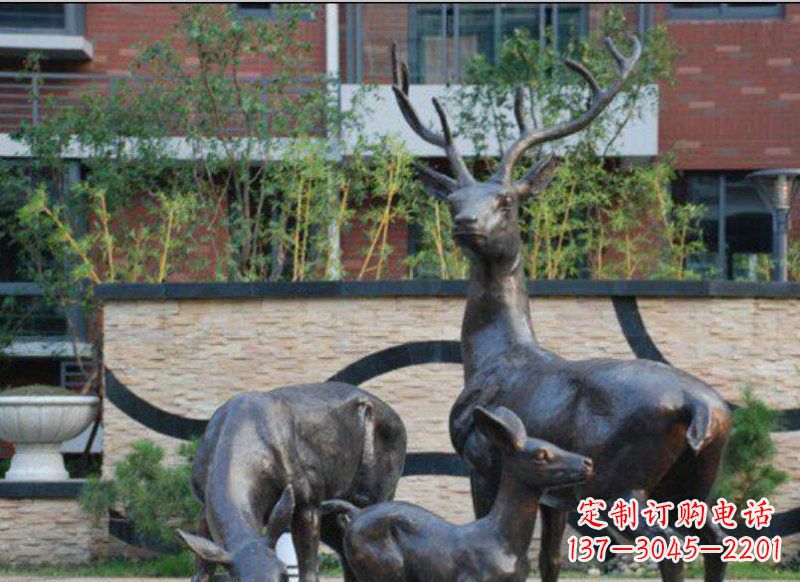 泉州古雅优雅的梅花鹿铜雕