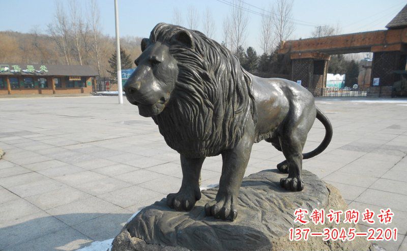 泉州广场非洲狮动物铜雕
