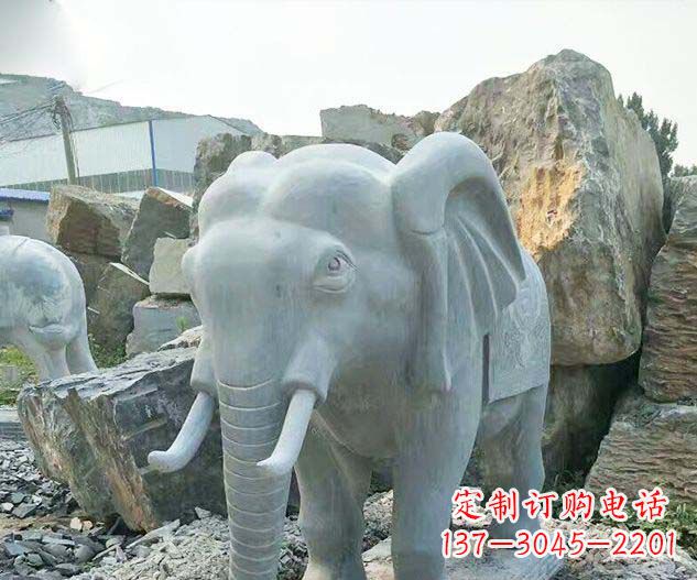 泉州广场景观大理石大象石雕 (2)
