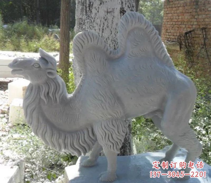 泉州汉白玉骆驼雕,融入古朴奢华