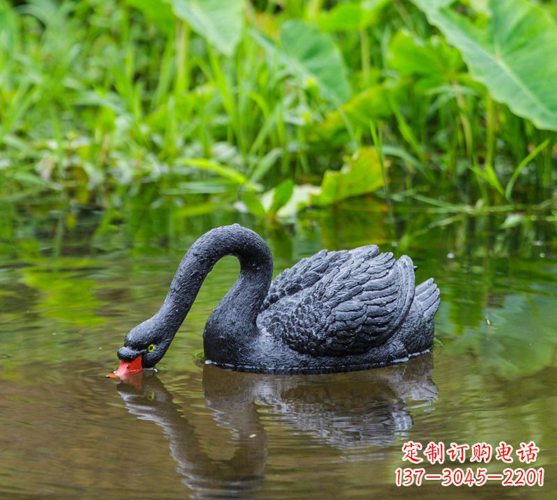 泉州黑天鹅雕塑,水塘装饰摆件