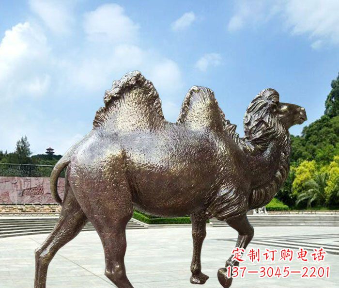 泉州欣赏骆驼美感,购买骆驼铜雕