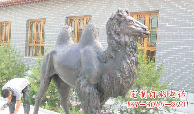 泉州精美的骆驼铜雕,提升您的公园气质