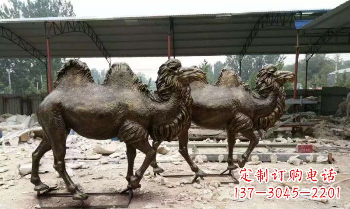 泉州典雅优美的骆驼铜雕