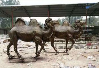 泉州欣赏大自然的艺术之作——骆驼铜雕