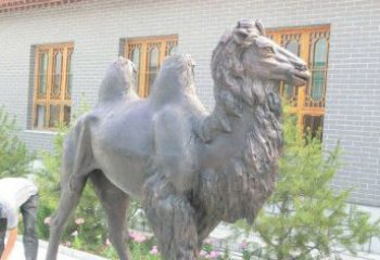泉州精美的骆驼铜雕，提升您的公园气质