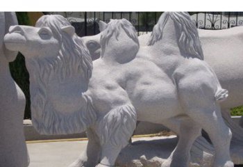 泉州艺术珍品—骆驼石雕