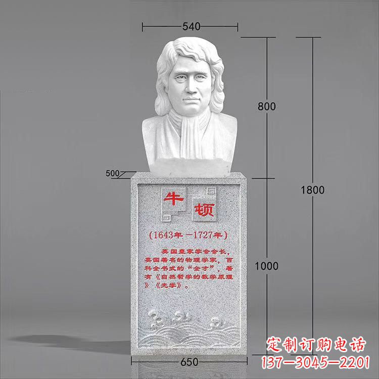 泉州艺术精灵:牛顿汉白玉石头像雕塑