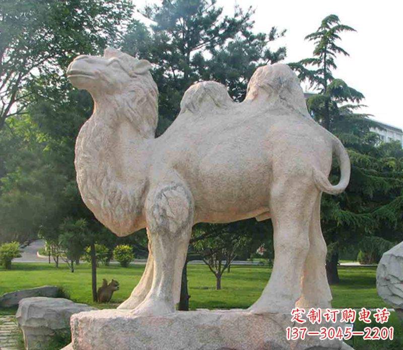 泉州石头骆驼雕塑