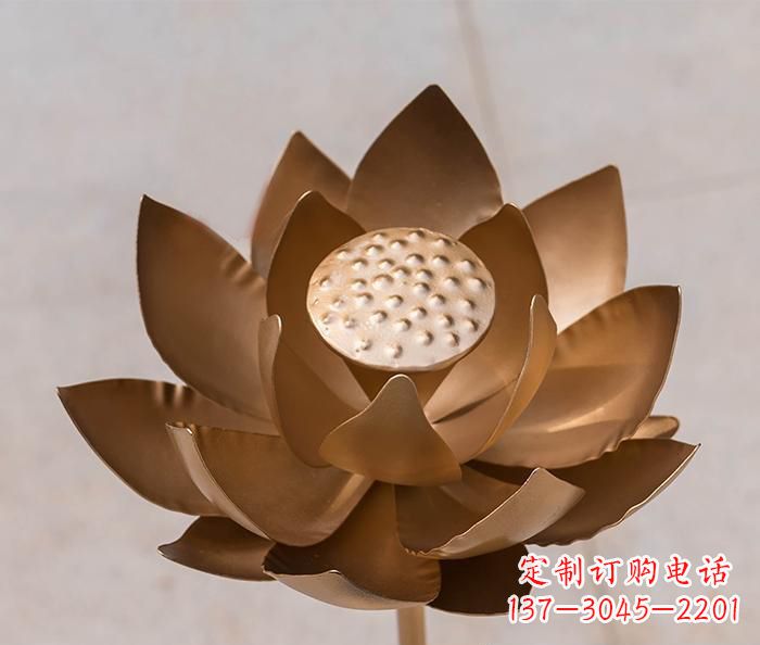 泉州铜雕景观荷花