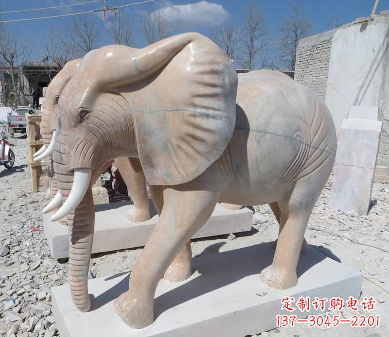 泉州晚霞红卷鼻大象