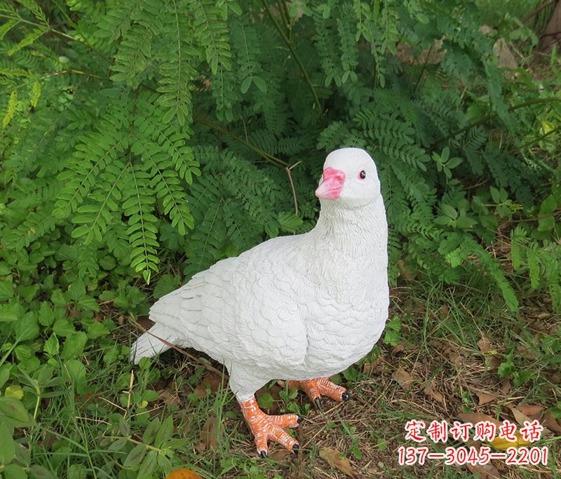 泉州潍坊青年路和平鸽灰姑娘雕塑