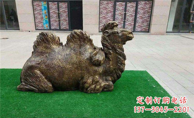 泉州卧着的骆驼动物铜雕