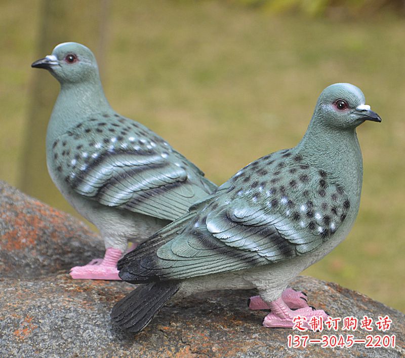 泉州校园雕塑和平鸽图片