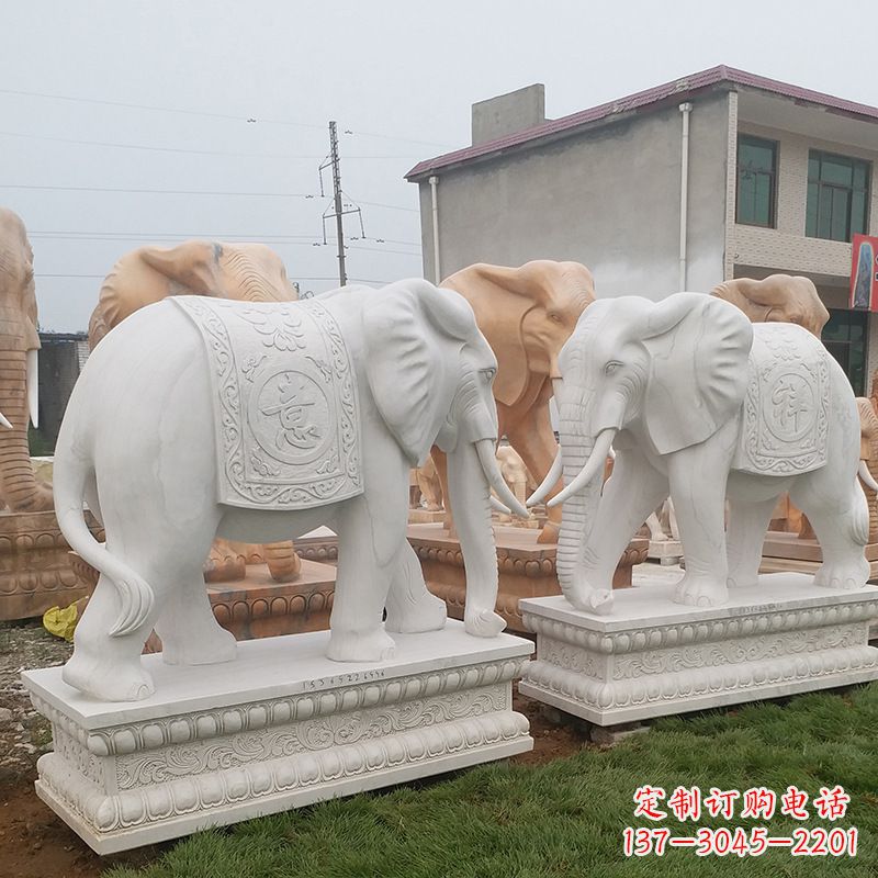 泉州学校石雕大象