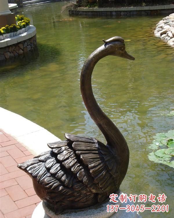 泉州铸铜天鹅喷泉雕塑 (2)